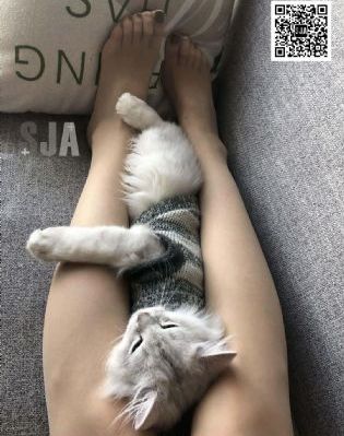 欧美三级三级三级三级爽爽爽_国产剧在线观看